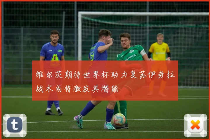 维尔茨期待世界杯助力复苏伊劳拉战术或将激发其潜能