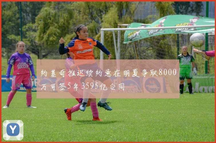 约基奇推迟续约意在明夏争取8000万可签5年3595亿合同